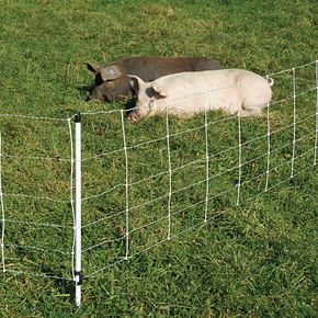 pig netting_fiberglass